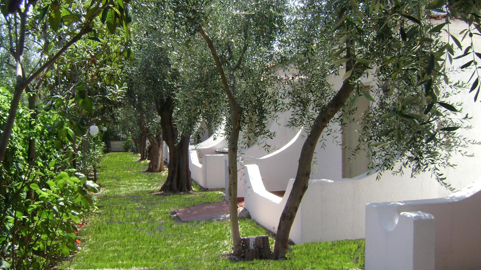 Hotel Il Melograno Mattinata Εξωτερικό φωτογραφία