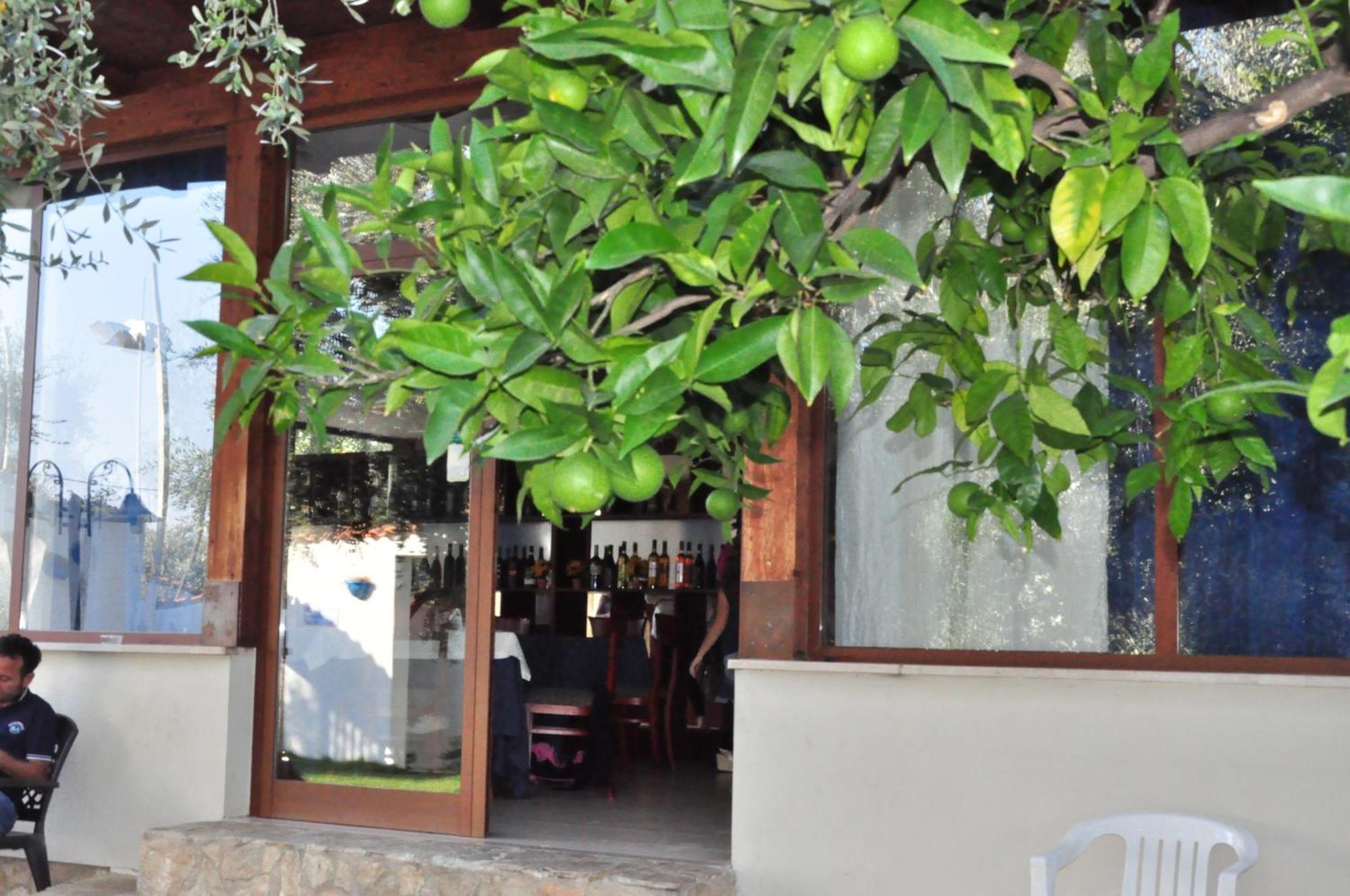 Hotel Il Melograno Mattinata Εξωτερικό φωτογραφία