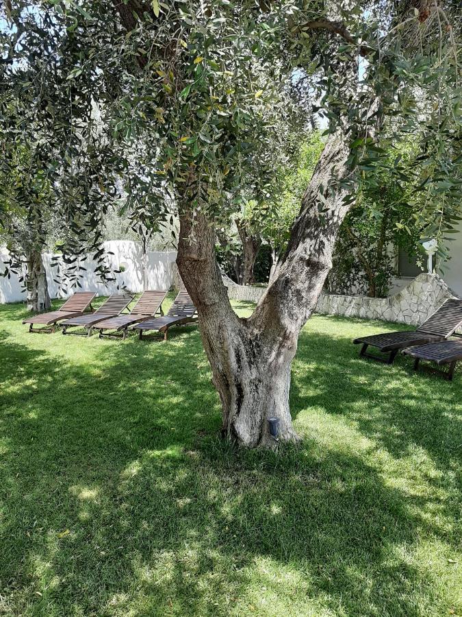 Hotel Il Melograno Mattinata Εξωτερικό φωτογραφία